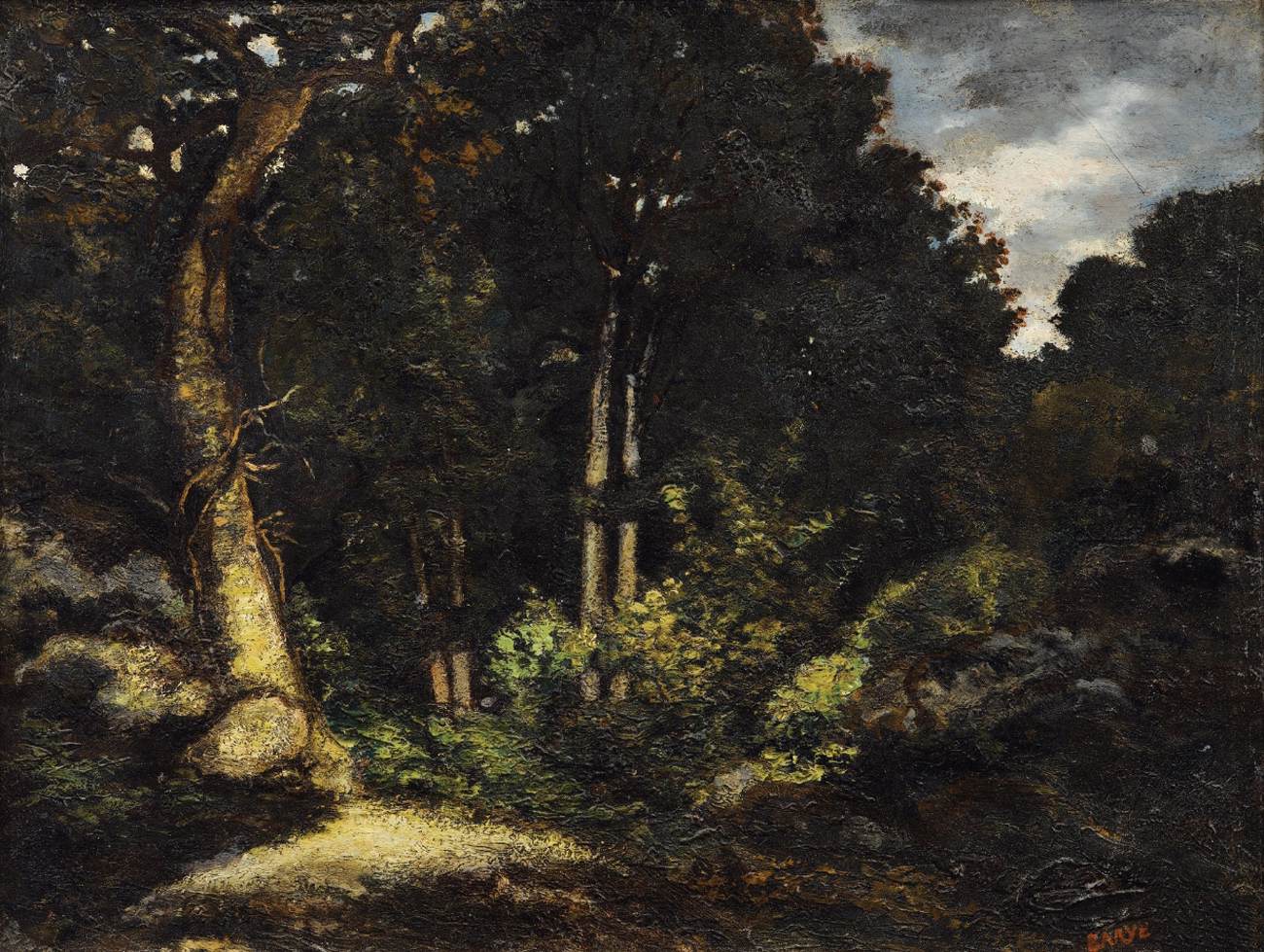 Forêt de Fontainebleau : La Reine Blanche