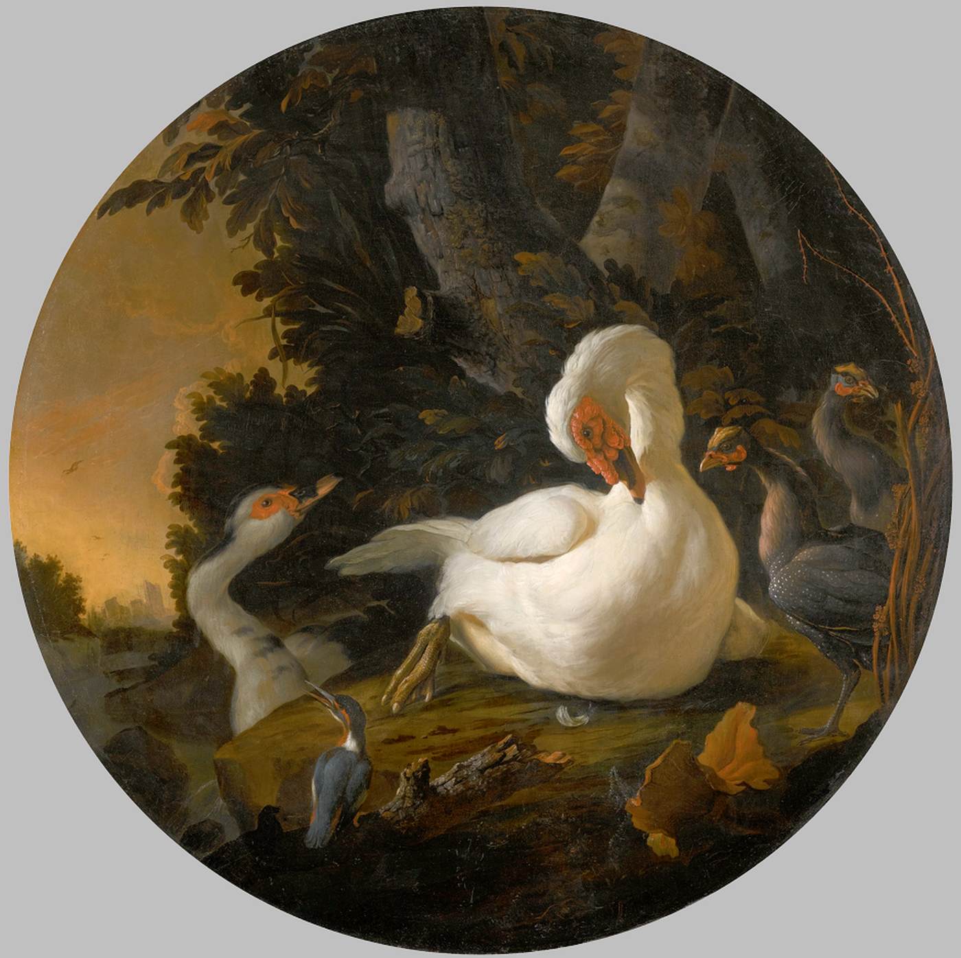 Un cygne muet, une oie et d'autres oiseaux d'eau sur une rive boisée
