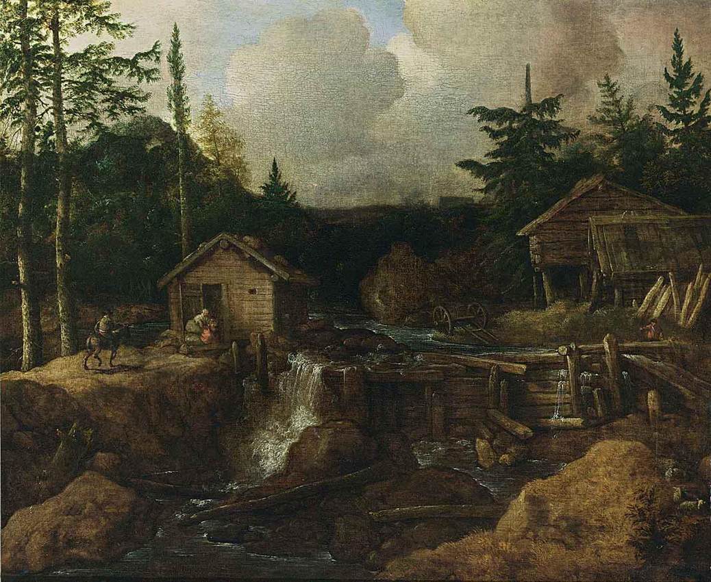 Paysage boisé scandinave