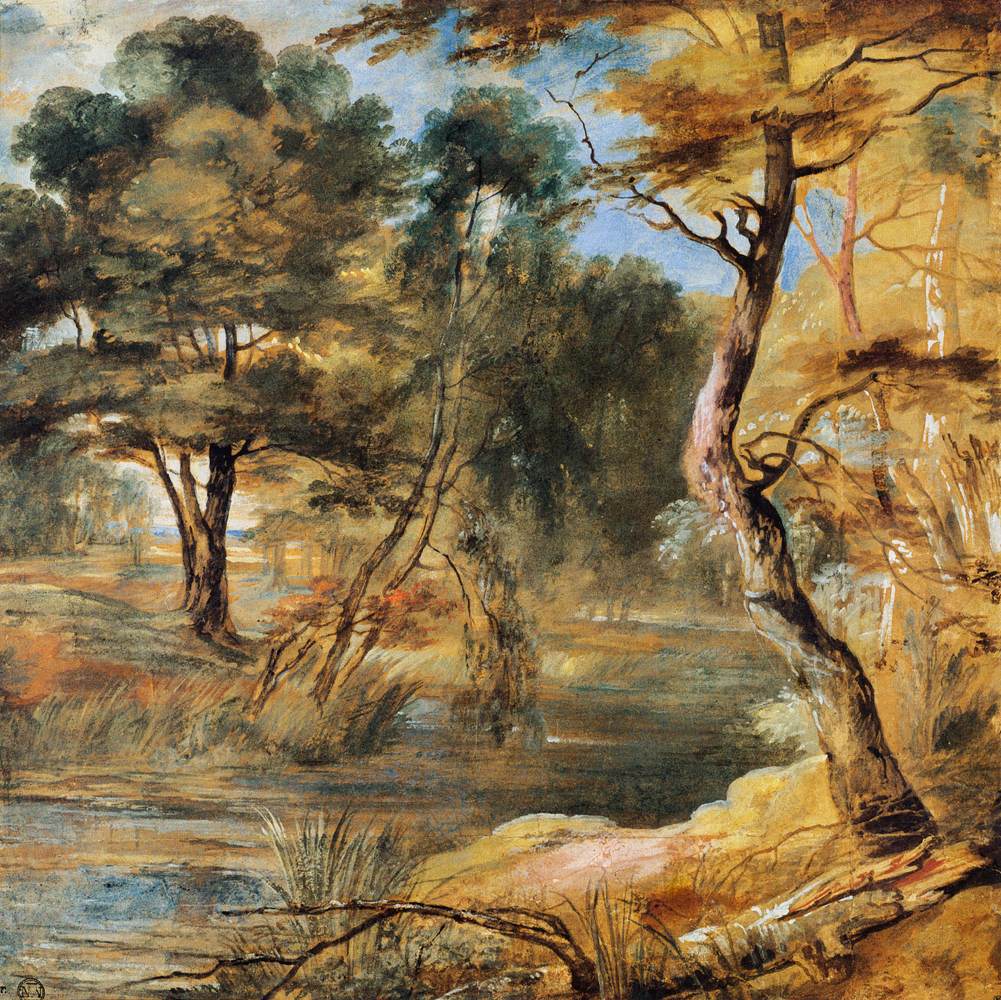 Paysage boisé avec un ruisseau
