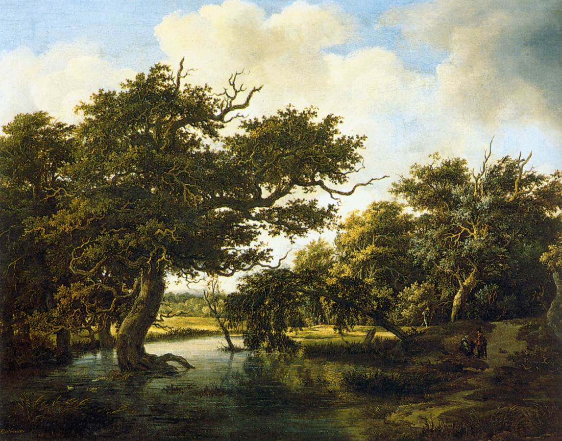 Bois marécageux