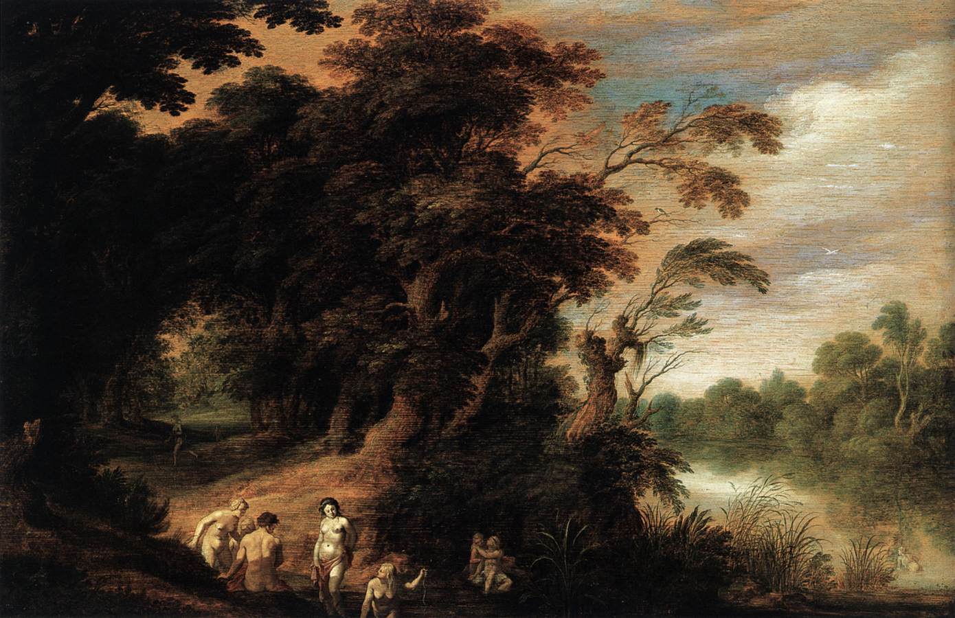 Paysage boisé