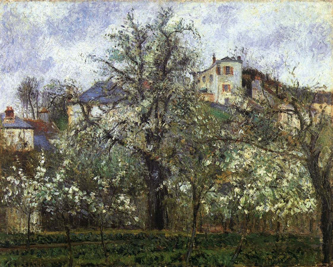 Printemps à Pontoise, potager et arbres en fleurs