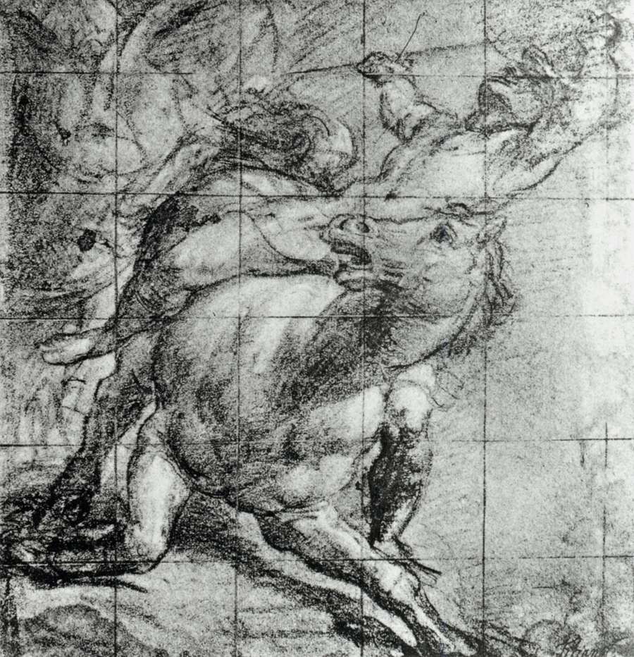 Cheval et cavalier
