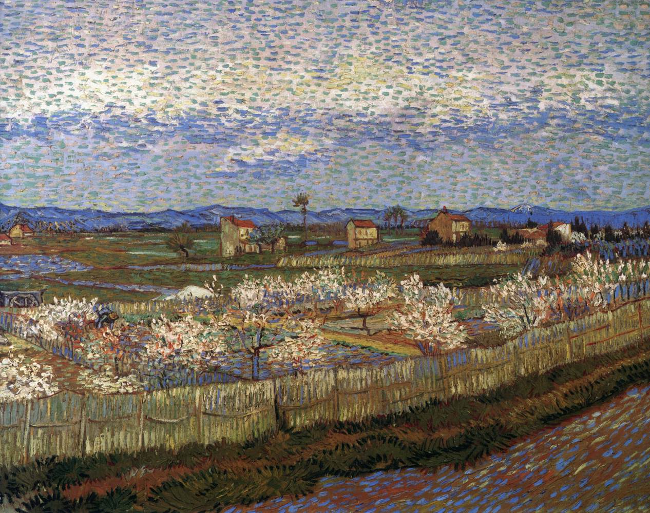 La Crau avec Peach Trees in Blossom