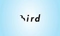 bird