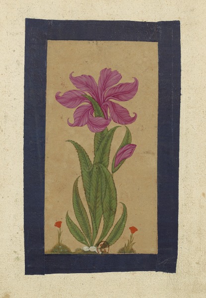 Inde 0003.jpg