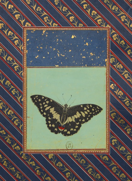 Inde 0107.jpg