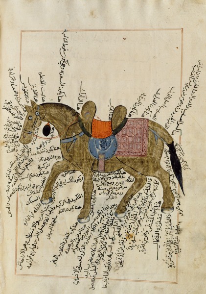 Islam 0191.jpg