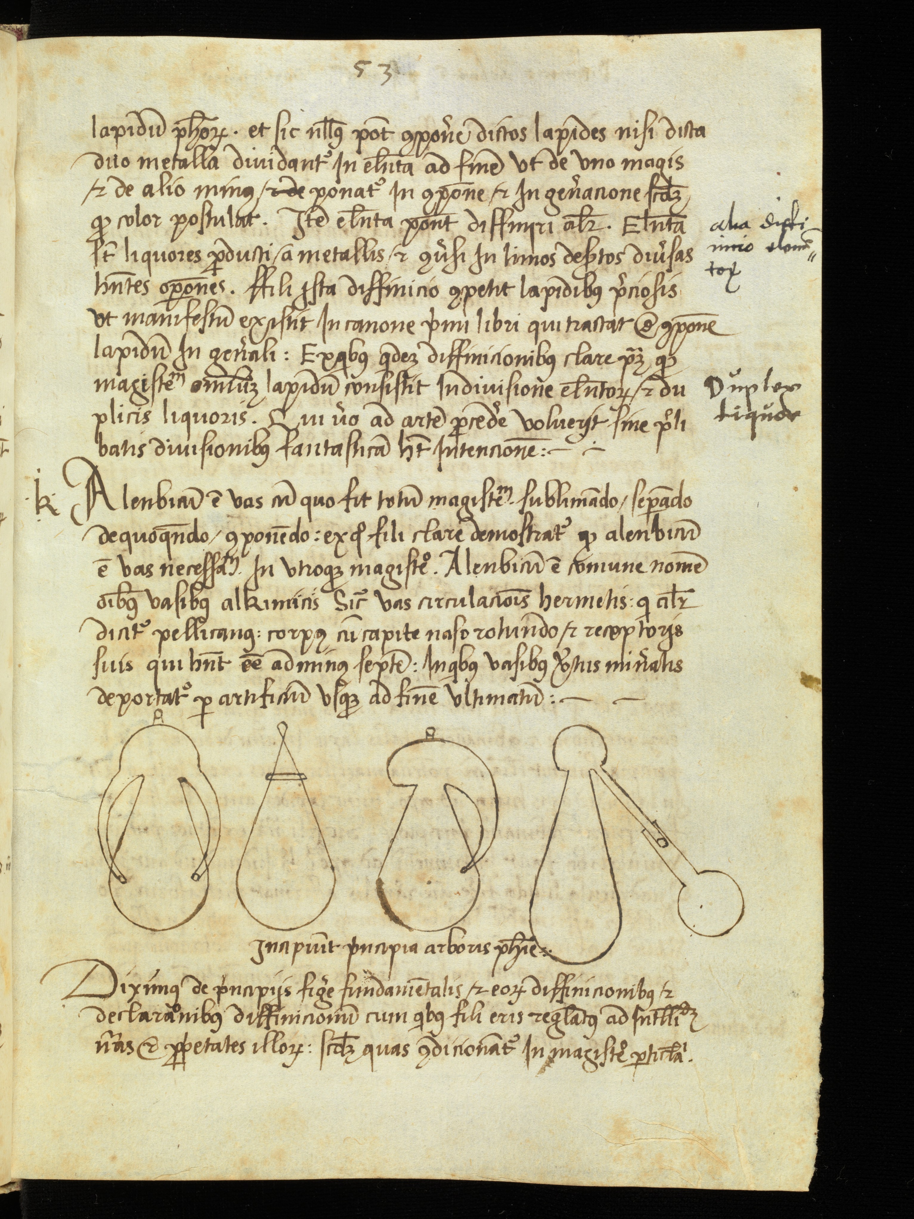 Ms 0020.jpg