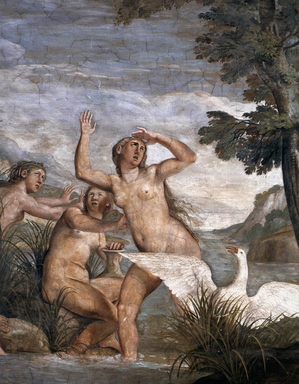 La légende de Phéton : les dieux fluviaux Eridanus, les Héliades et Cycnus (détail)