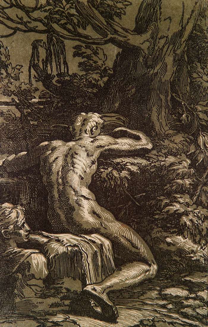Homme nu dans un paysage