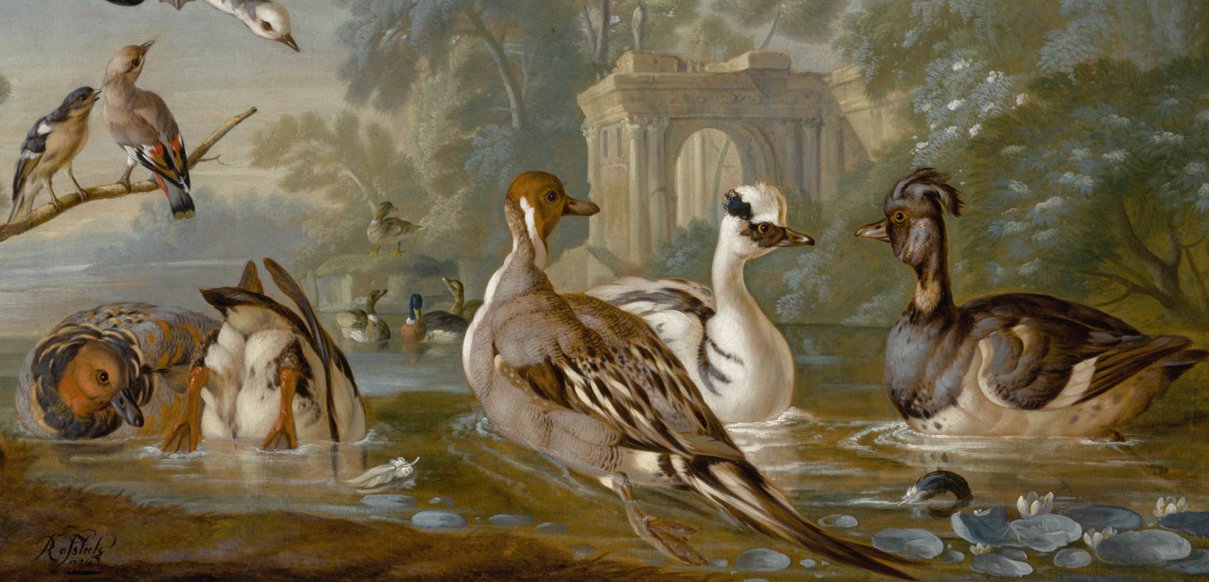 Oiseaux aquatiques sur un étang avec d'autres oiseaux dans un parc (détail)