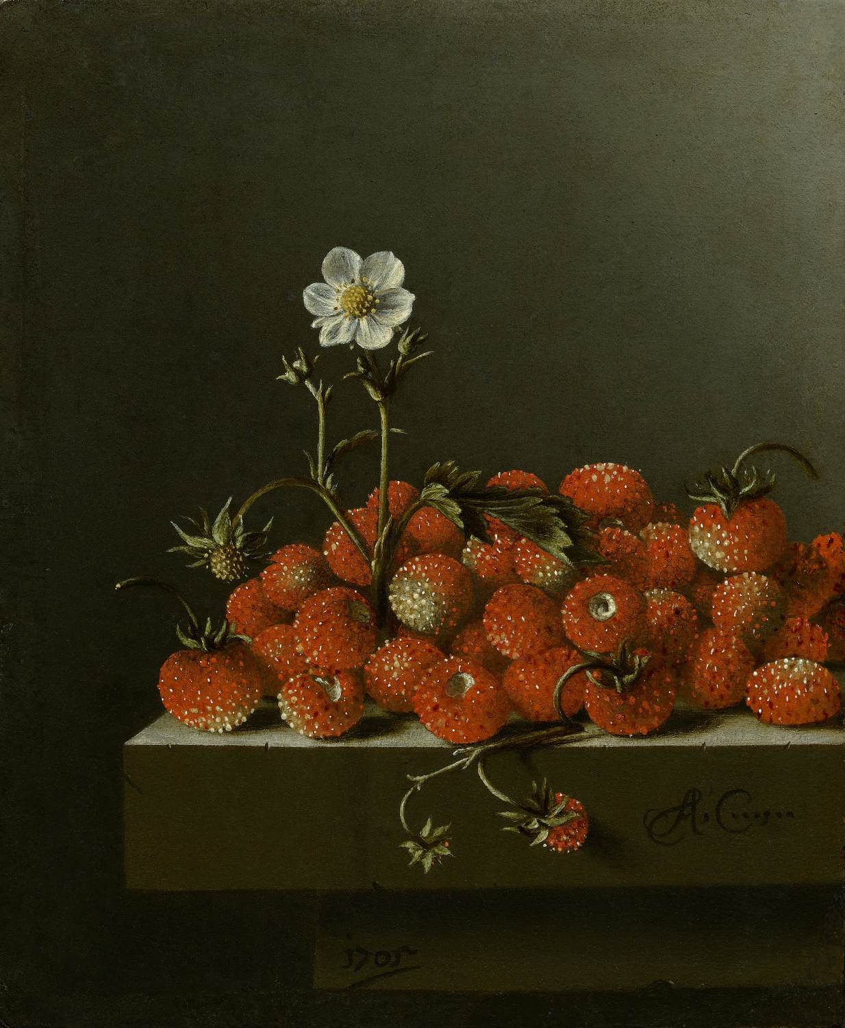 Nature morte aux fraises des bois