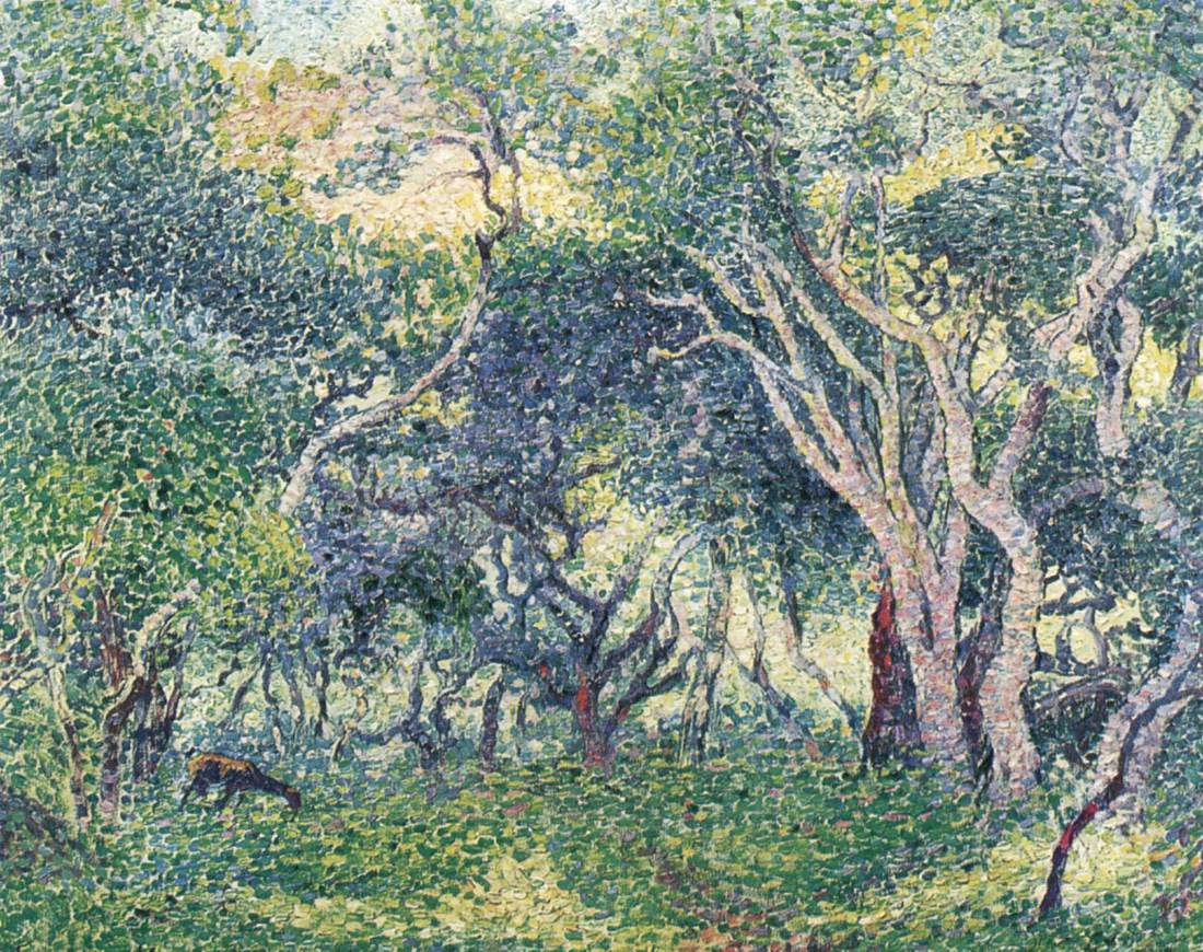 Sous-bois