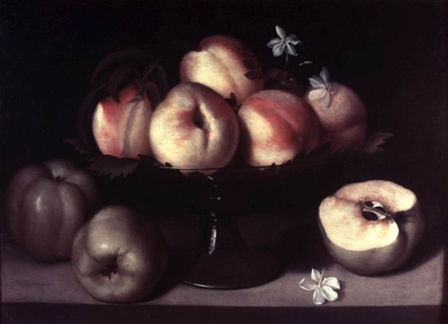 nature-morte