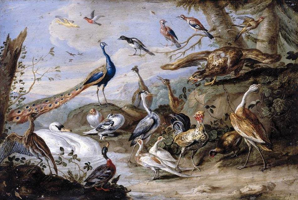 Oiseaux sur une rive