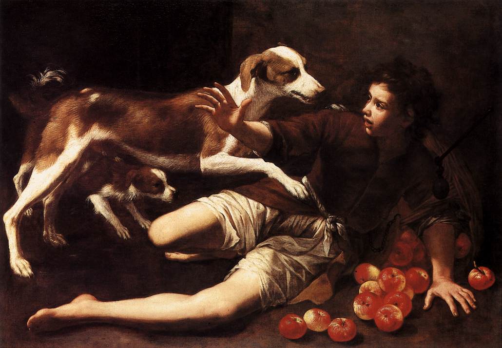 Garçon attaqué par un chien