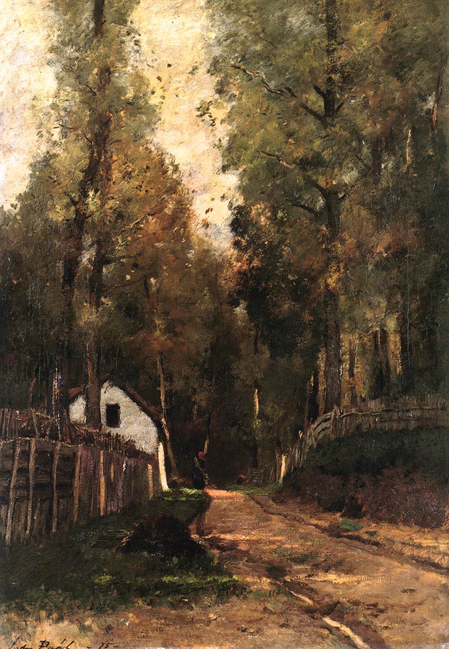 Matin dans la forêt