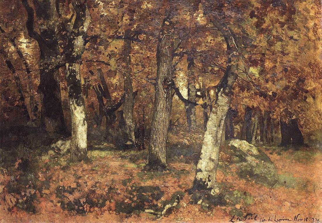 La profondeur de la forêt