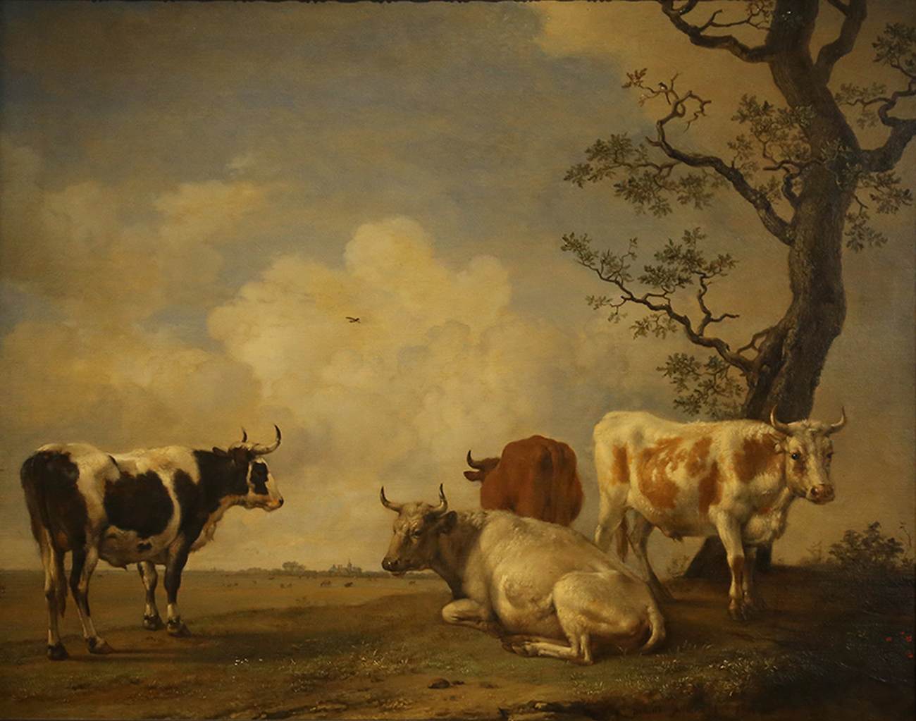Quatre taureaux