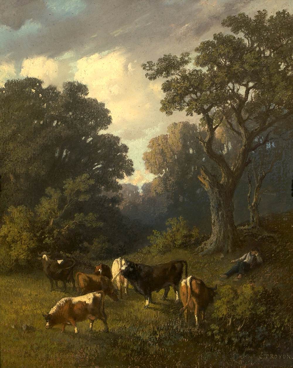 Vaches paissant dans une clairière