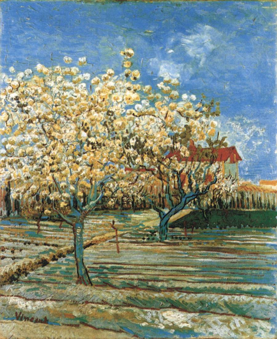 Verger en fleurs