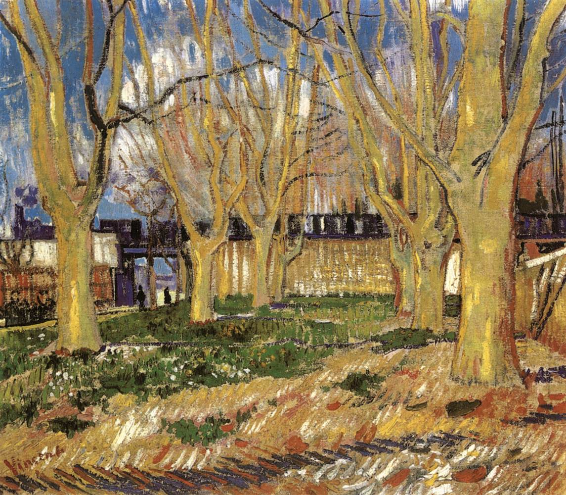 Avenue de platanes près de la gare d'Arles