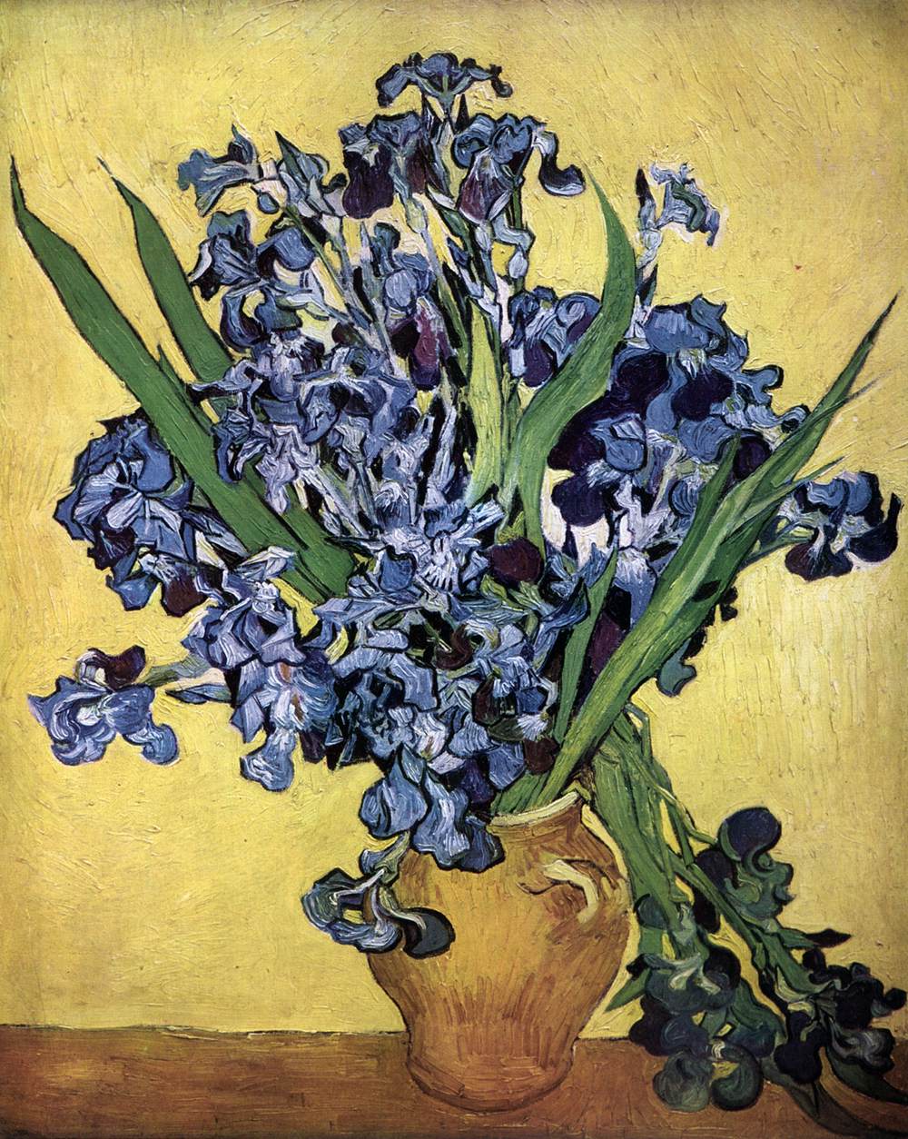 Nature morte : vase d'iris sur fond jaune