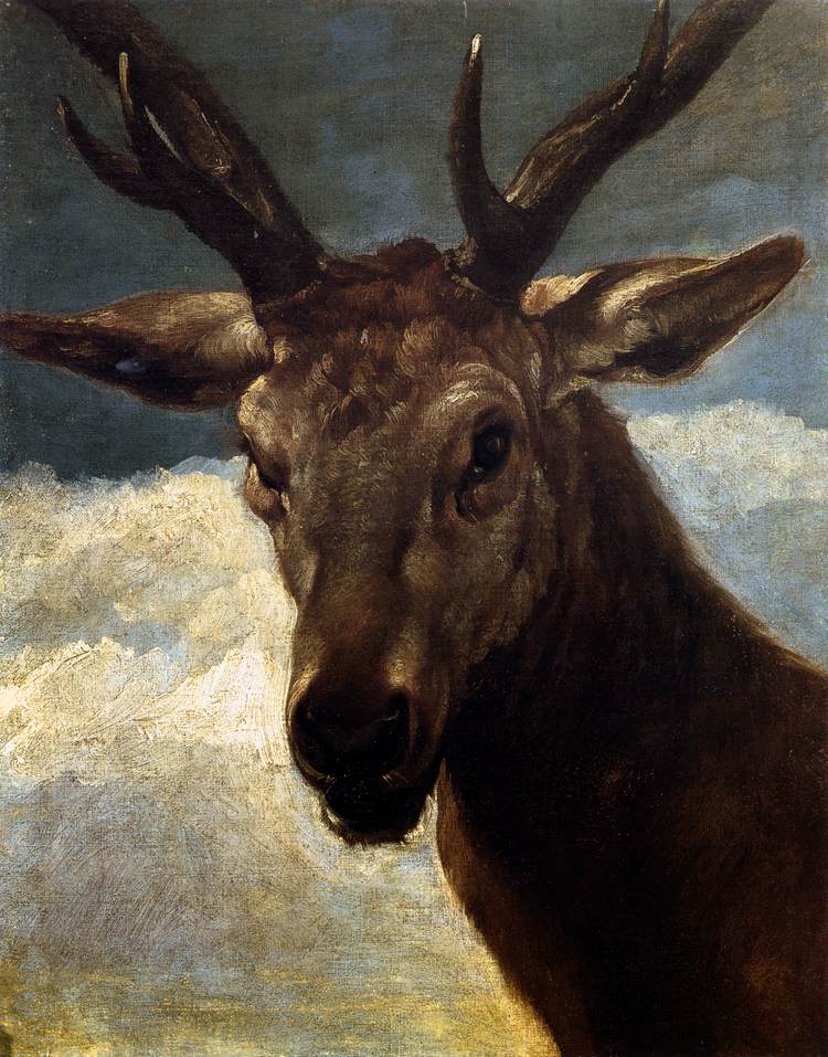 Tête de cerf